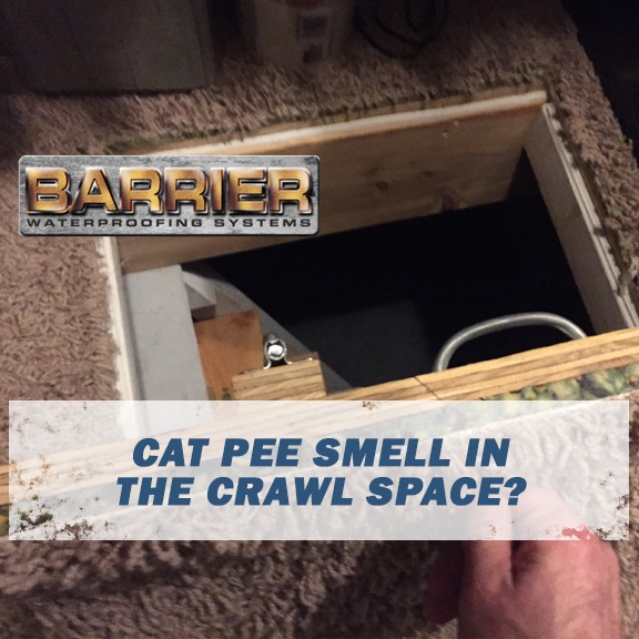 Crawl space opening in the floor homeowner smells cat pee