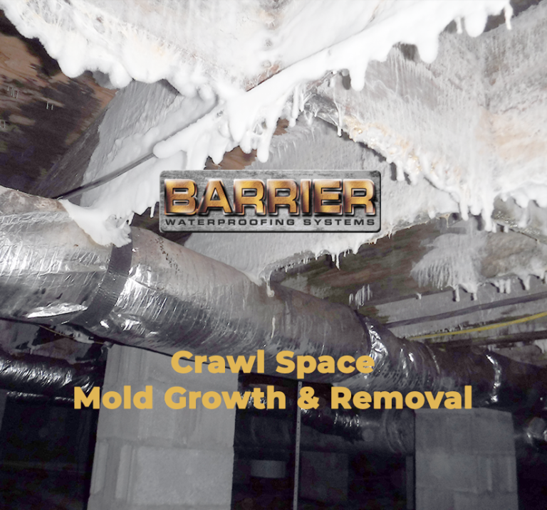 Large amount of mold is reason to prevent craw space mold