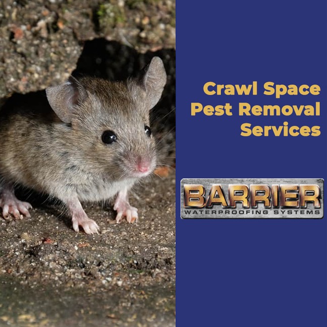 crawl space pest control Services Nashville TN