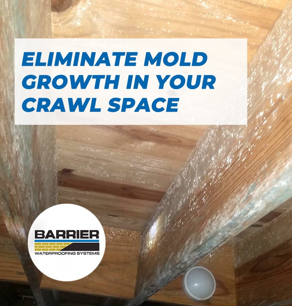 Eliminate Mold Growth In Your Crawl Space | Barrier Waterproofing Systems