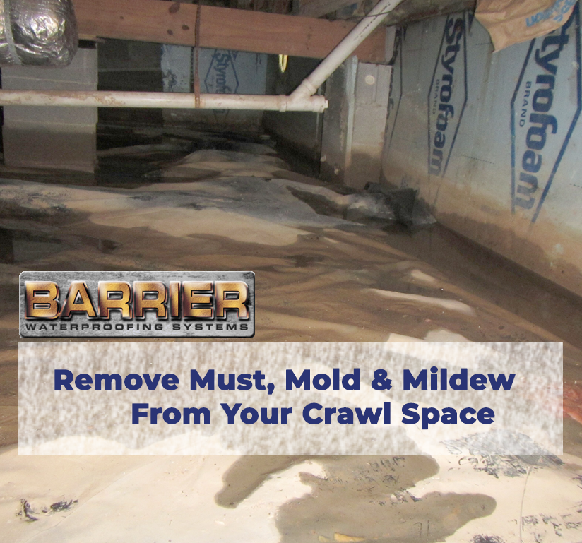 Standing Water Leads To Crawl Space Mold and Mildew Growth
