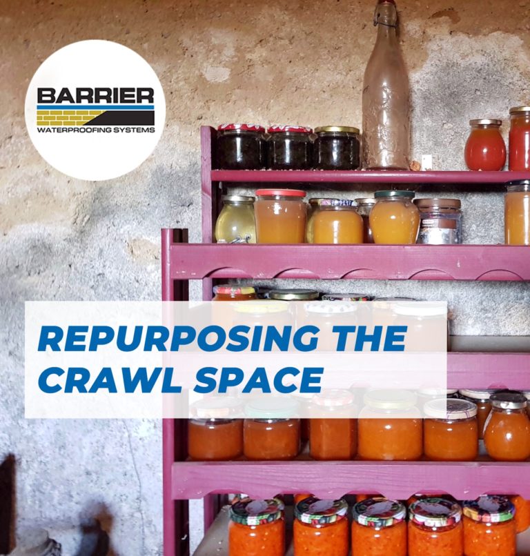 Shelf of canned goods for root cellar crawl space renovation ideas