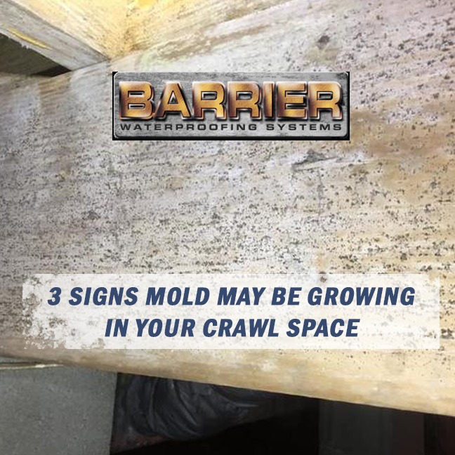 Crawl Space Mold on Floor Joist Beam