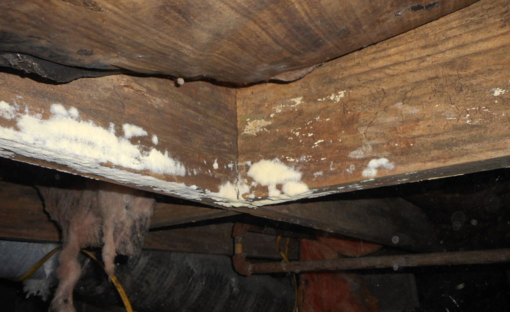 Basement-or-Crawl-Space-Dry-Wood-Rot-Floor-Joist-Damage-From-Excess-Moisture-High-Humidity