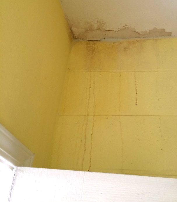 Mold-and-Mildew-Growth-On-Basement-Or-Crawl-Space-Wall