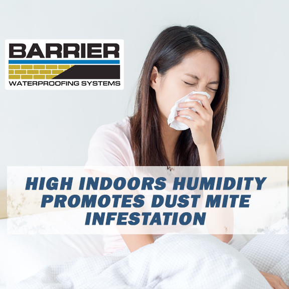 Woman sneezing depicting sensitivity to dust mites from high indoor humidity