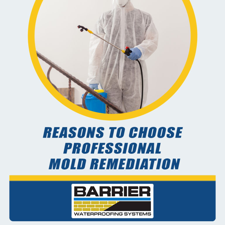 Reasons-To-Choose-Professional-Mold-Remediation-Services