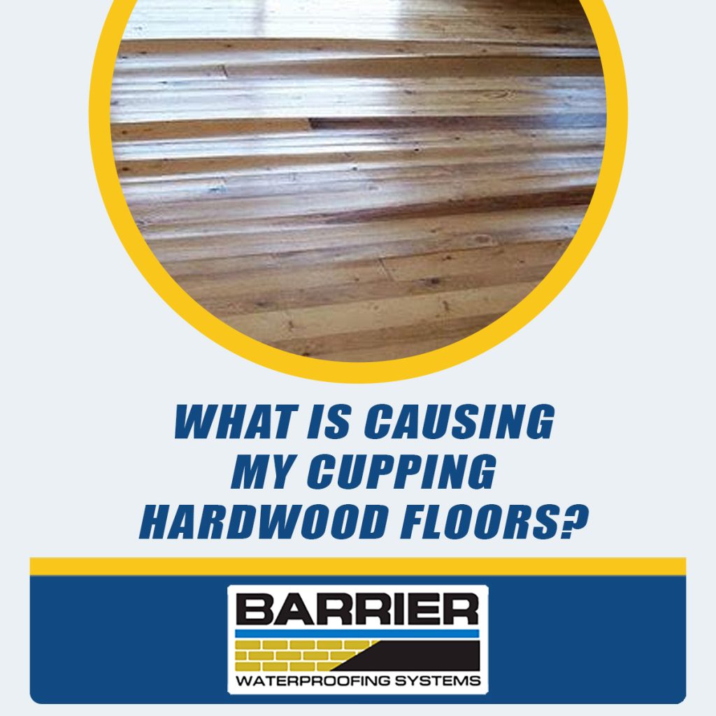 What Is Causing My Cupping Hardwood Floors? | Barrier Waterproofing Systems