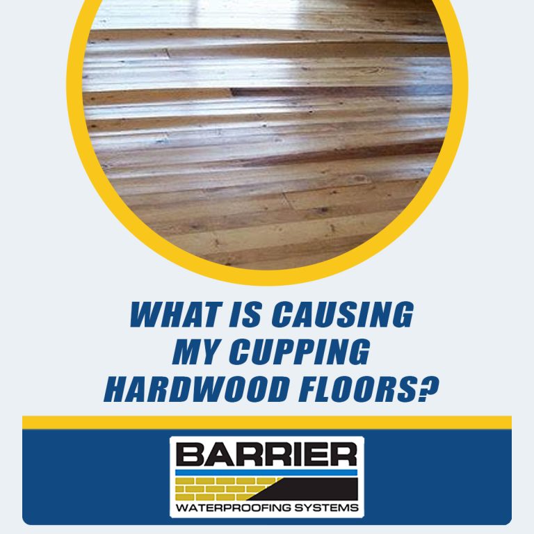 What Is Causing My Cupping Hardwood Floors BARRIER Waterproofing Systems