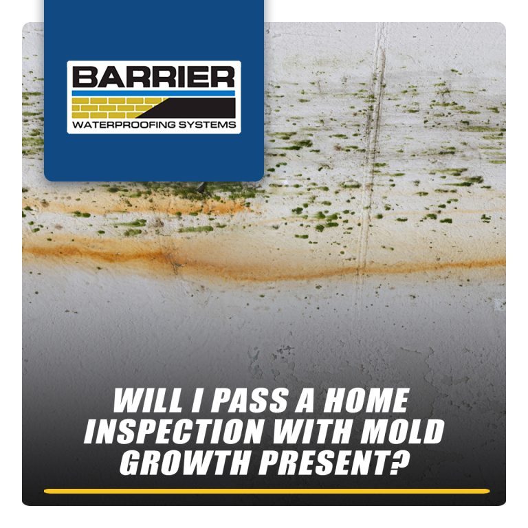 Will-I-Pass-A-Home-Inspection-With-Mold-Present